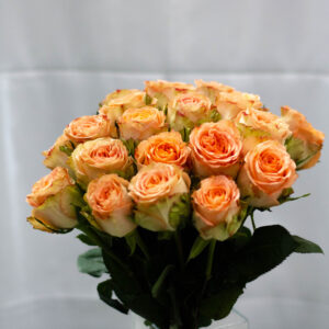 Bukiet z brzoskwiniowych róż (wybierz ilość kwiatów)